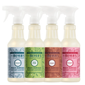 Premium Holiday Seasonal Multi-Surface Everyday Cleaner Collection