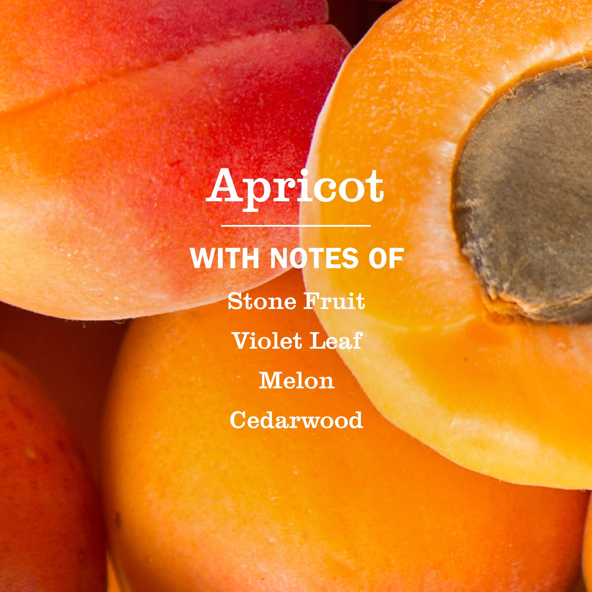 Premium Apricot Liquid Hand Soap