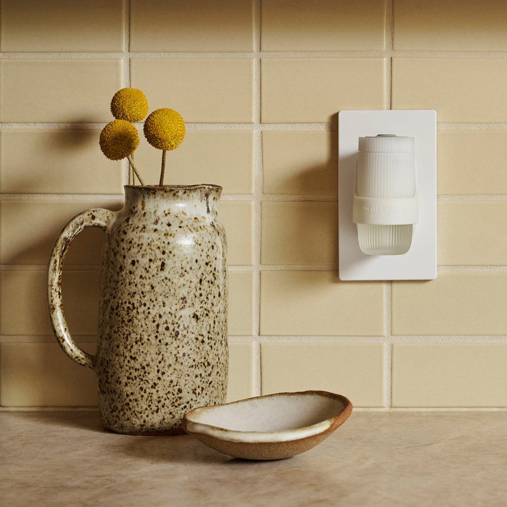 Premium Acorn Spice Plug In Scented Oil Warmer With Refill
