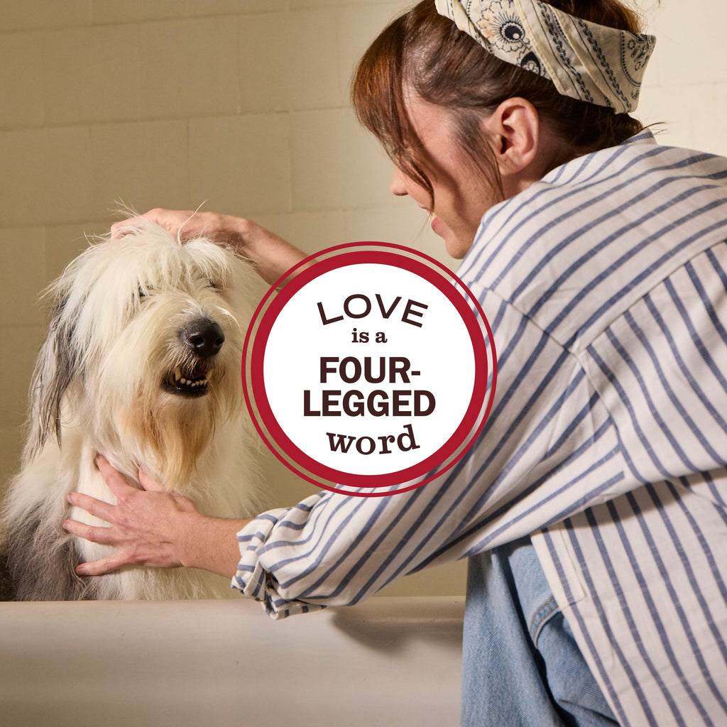 Premium White Peach 3-in-1 Dog Shampoo
