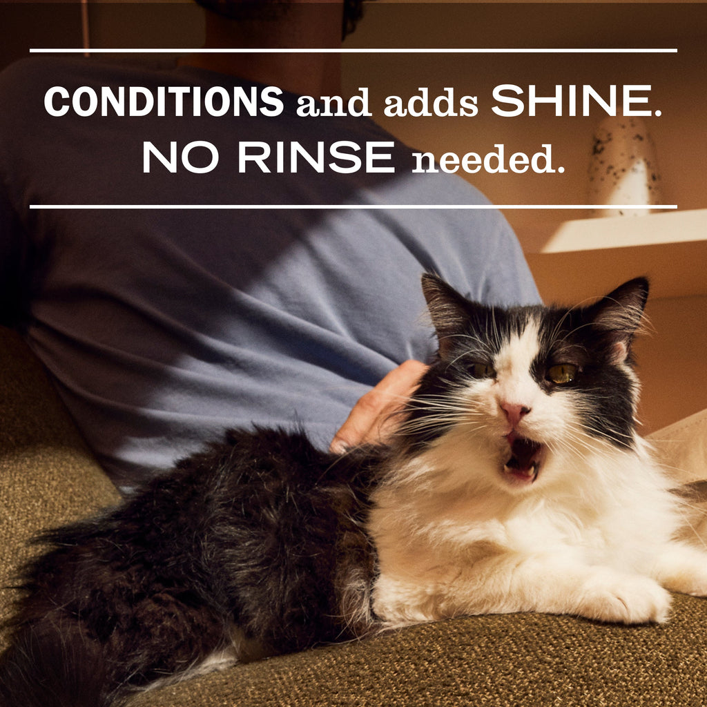 Premium White Peach Cat Deodorizing Spritz