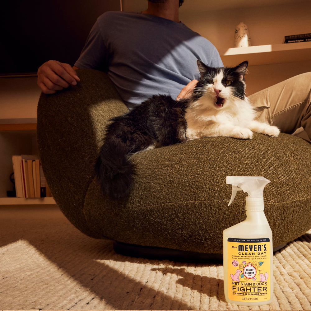 Premium Orange Blossom Pet Stain & Odor Fighter