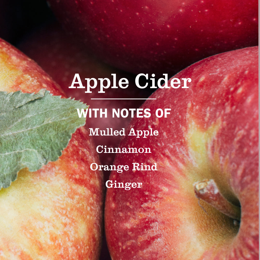 Premium Apple Cider Dish Soap 3-count Bundle
