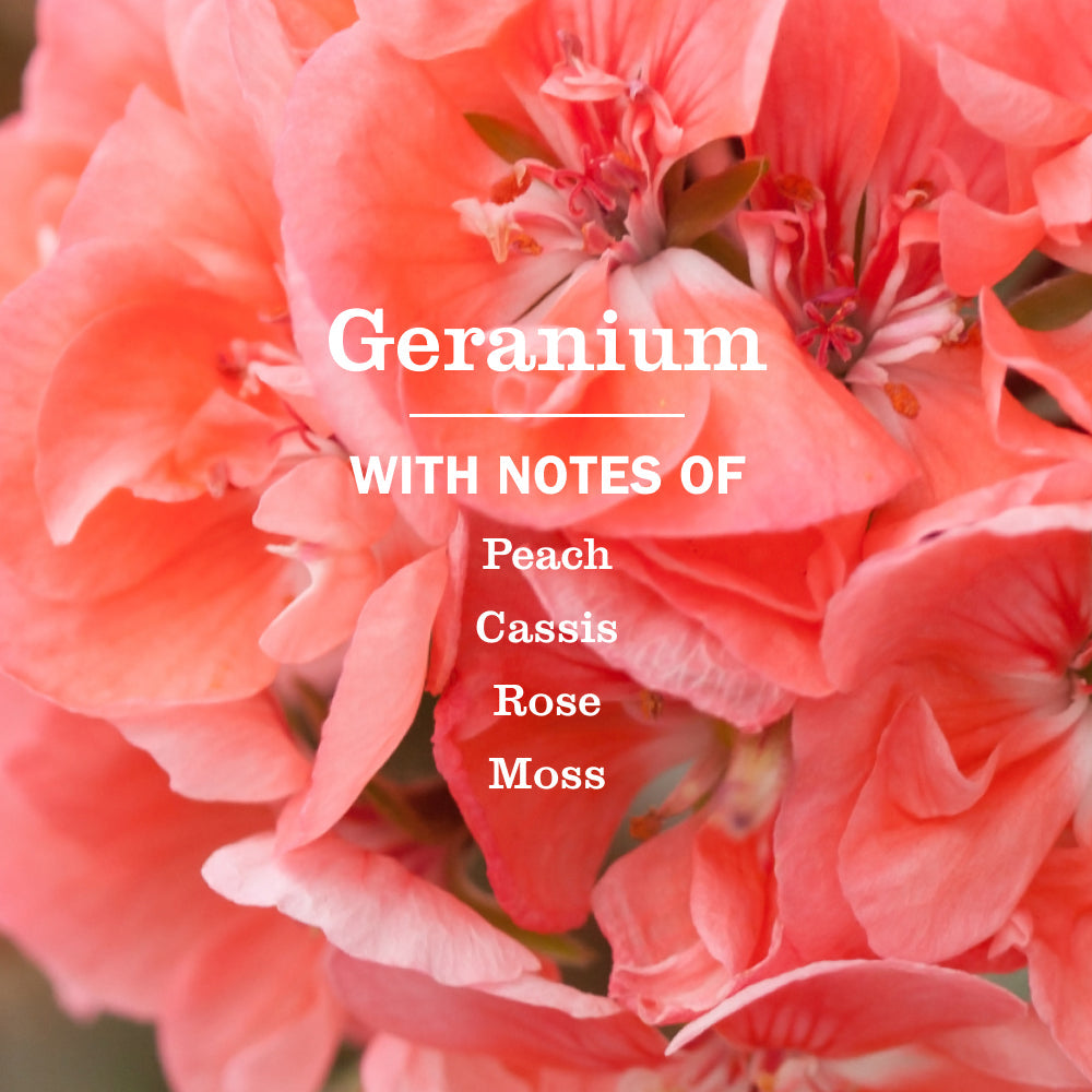 Premium Geranium Liquid Hand Soap
