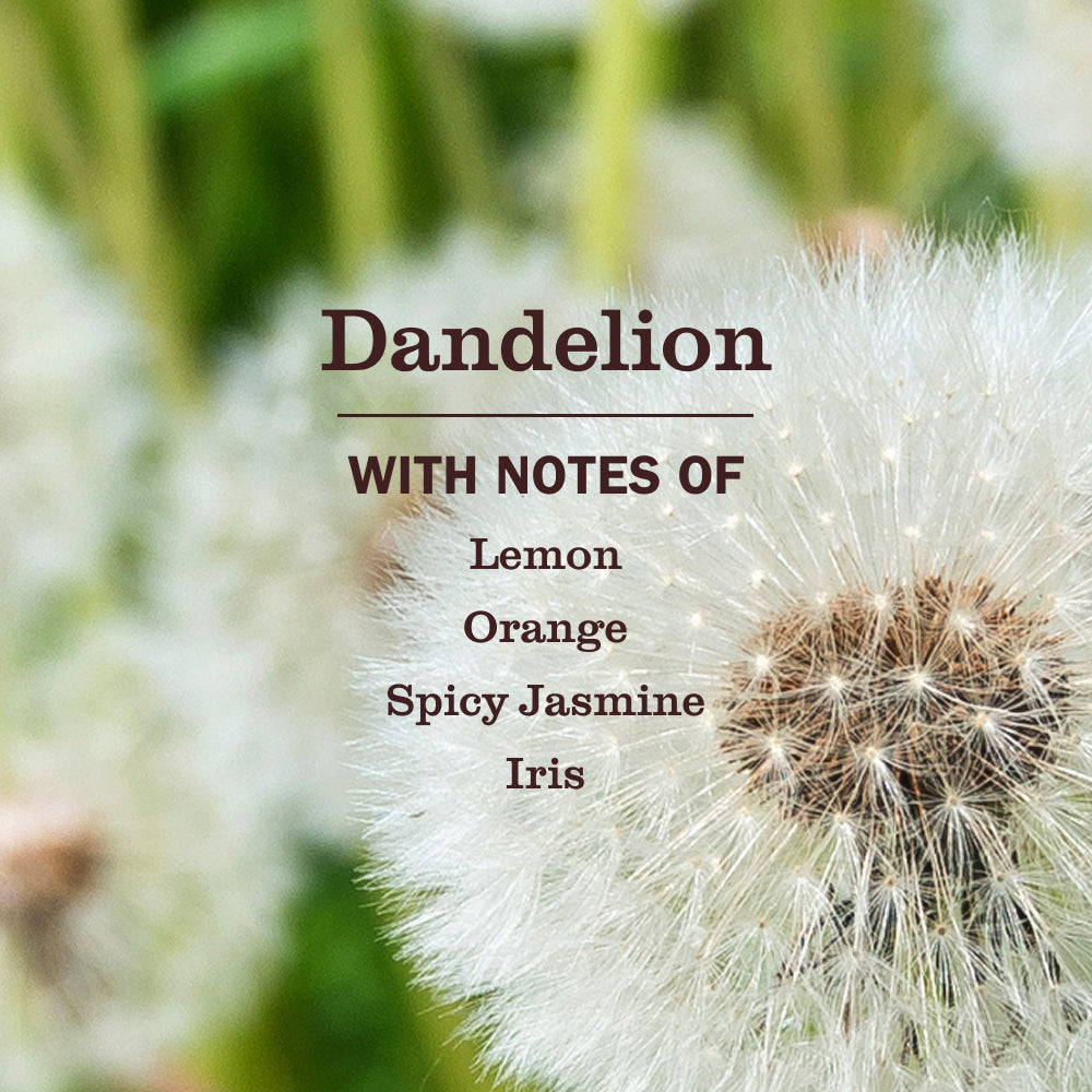 Premium Dandelion Liquid Hand Soap