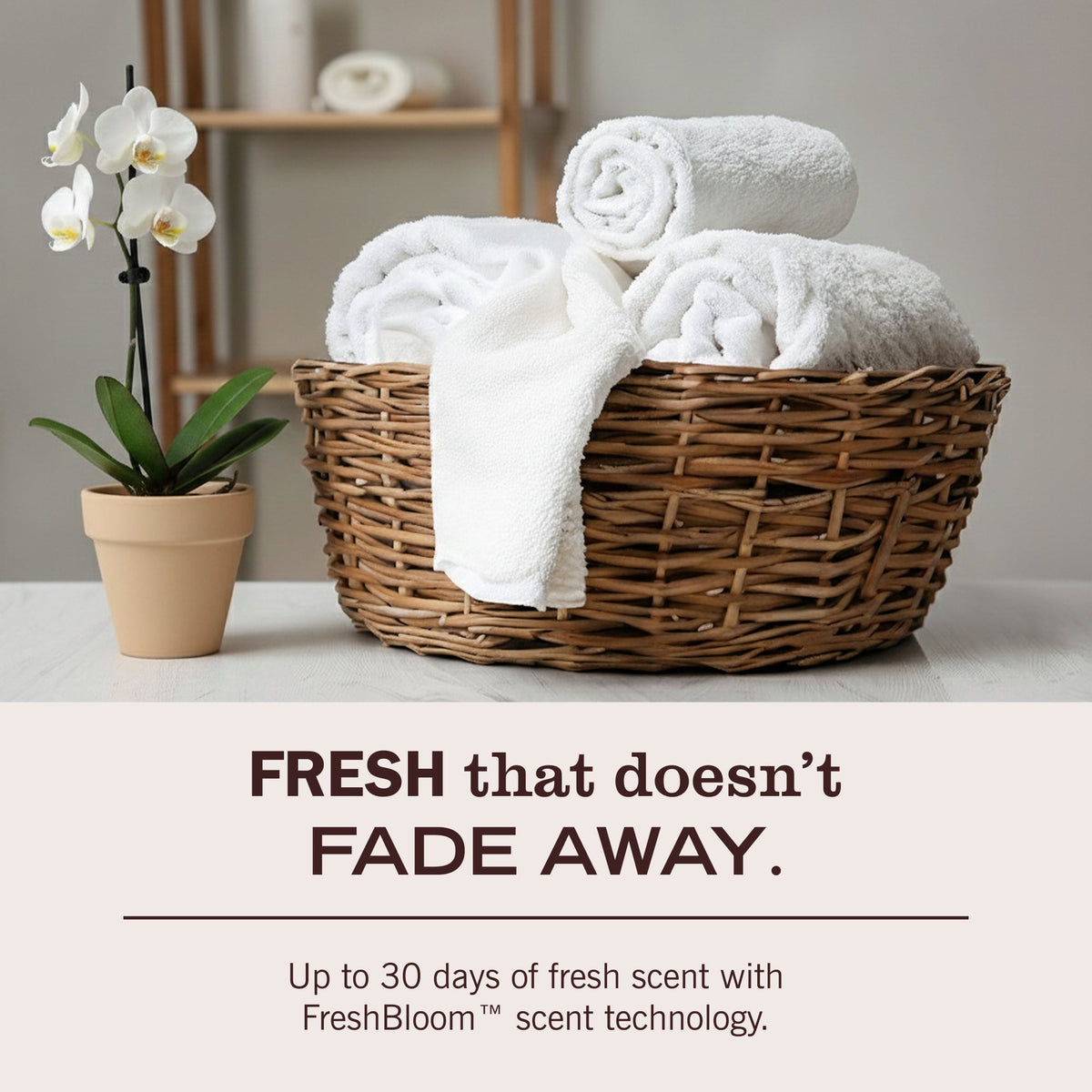 Premium Compassion Flower Laundry Detergent