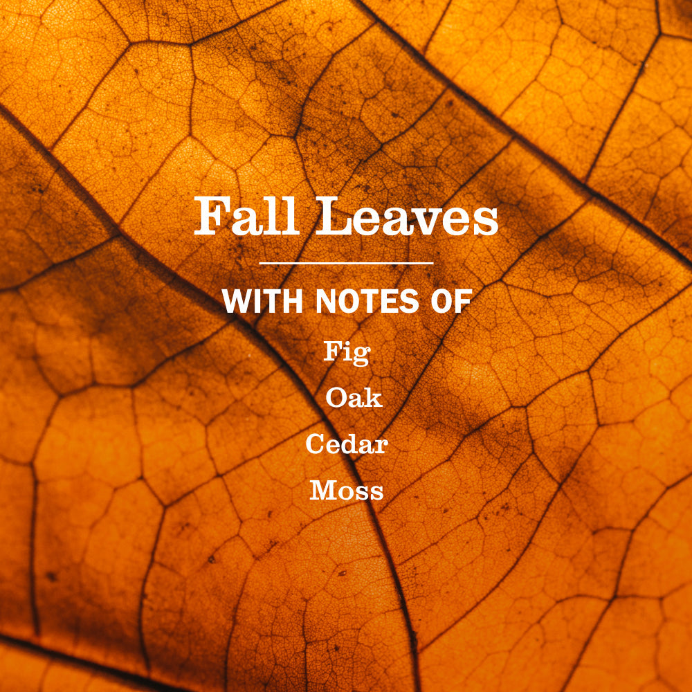 Premium Fall Leaves Multi-Surface Everyday Cleaner 3-count Bundle