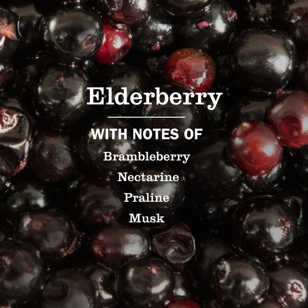 Premium Elderberry Multi-Surface Everyday Cleaner 3-count Bundle