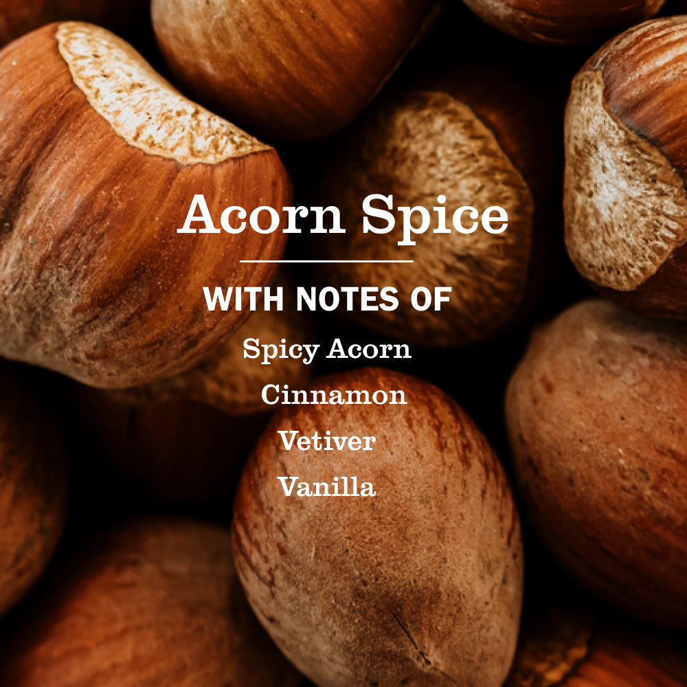 Premium Acorn Spice Multi-Surface Everyday Cleaner 3-count Bundle