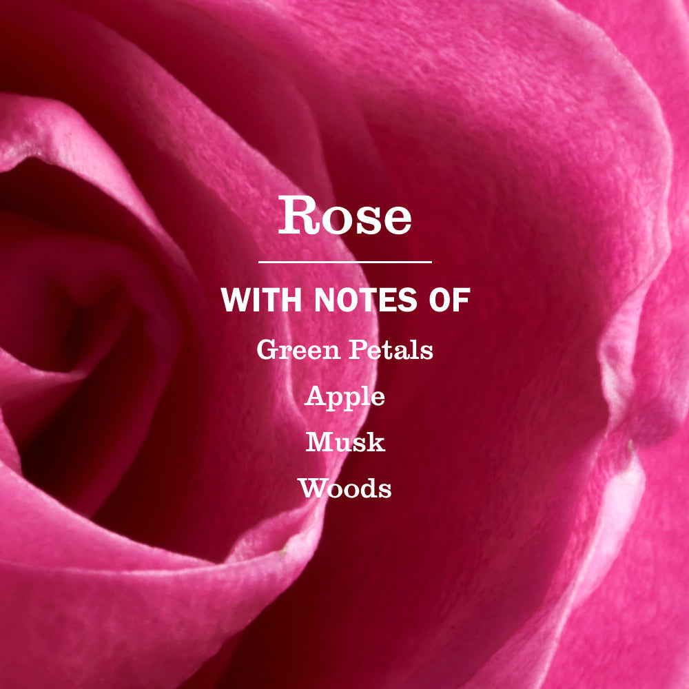 Premium Rose Multi-Surface Everyday Cleaner 3-count Bundle