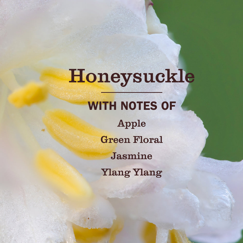 Premium Honeysuckle Multi-Surface Everyday Cleaner