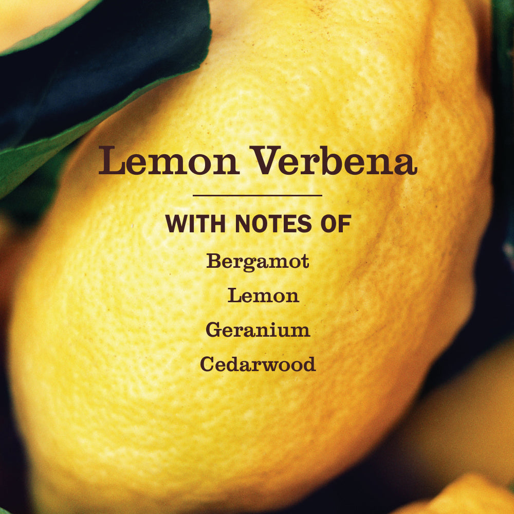Premium Lemon Verbena Multi-Surface Everyday Cleaner