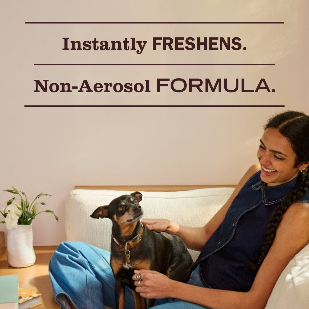 Premium Rain Water Room Freshener