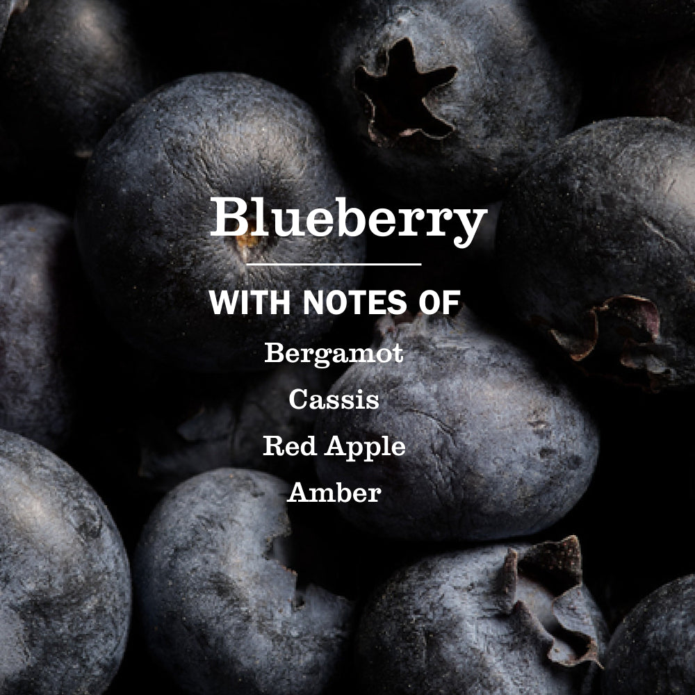 Premium Blueberry Liquid Hand Soap