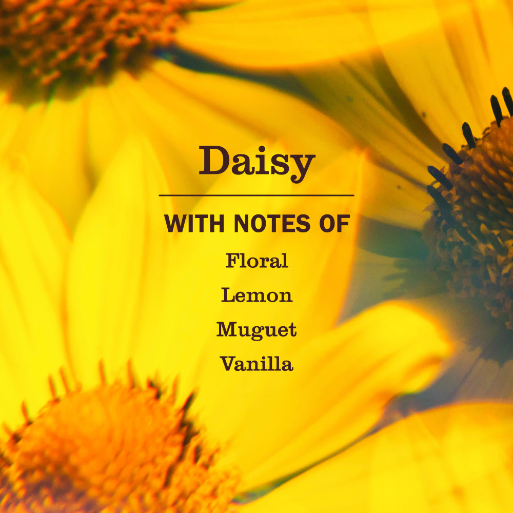 Premium Daisy Liquid Hand Soap 3-count Bundle