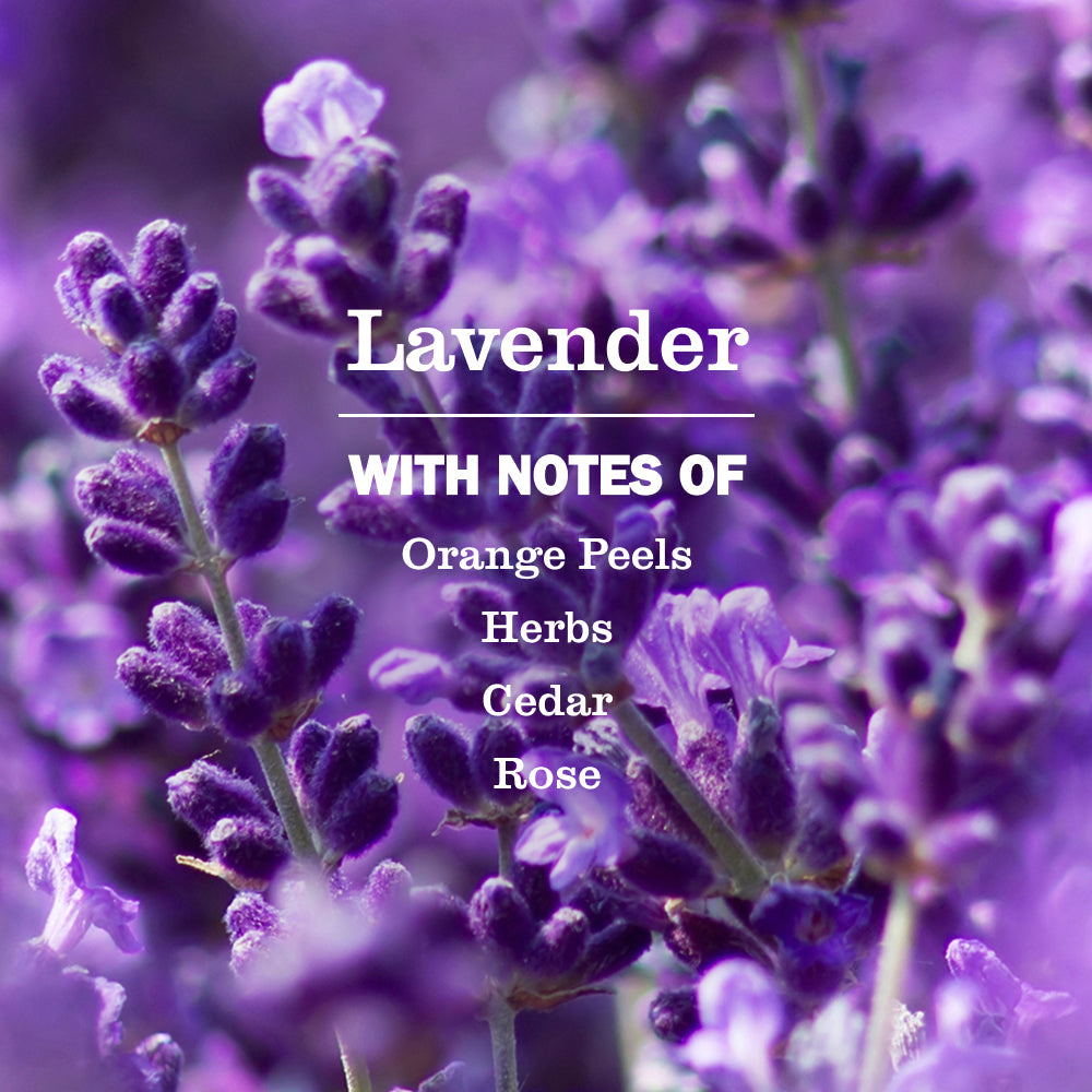 Premium Lavender Glass Cleaner