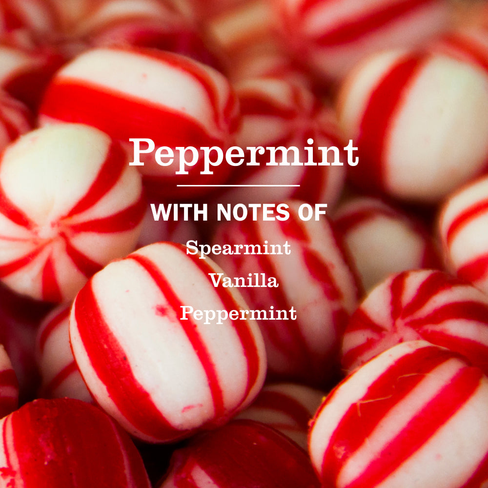 Premium Peppermint Kitchen Basics Set