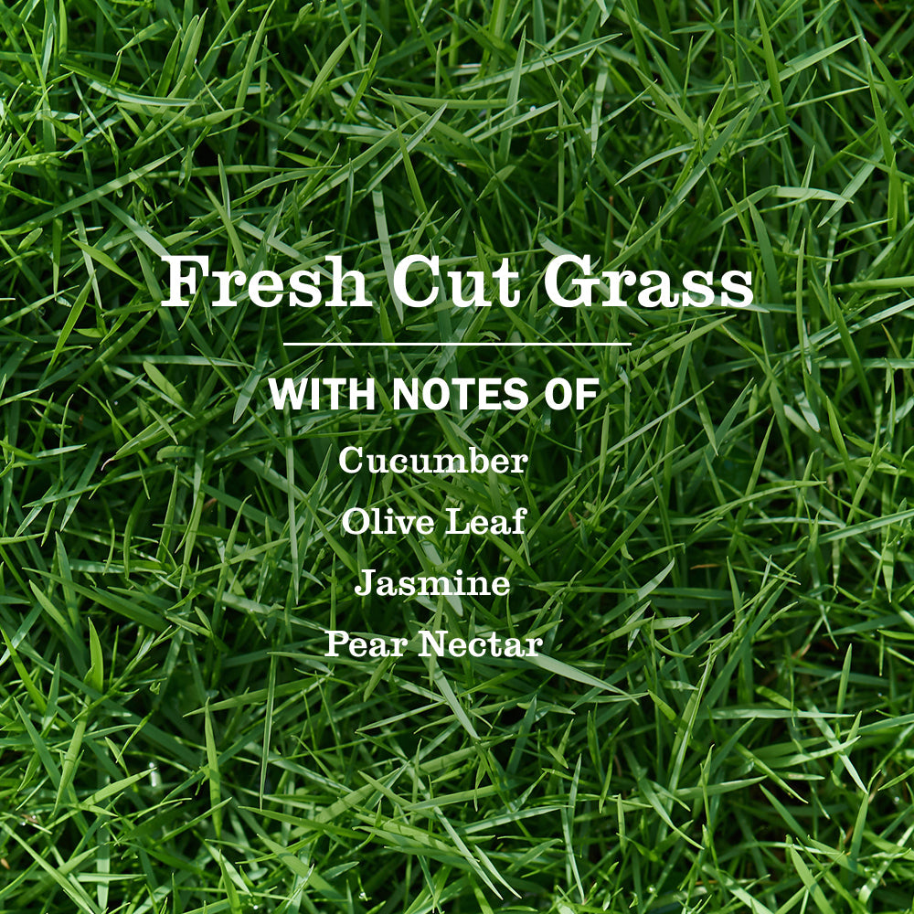 Premium Fresh Cut Grass Dish Soap 3-count Bundle