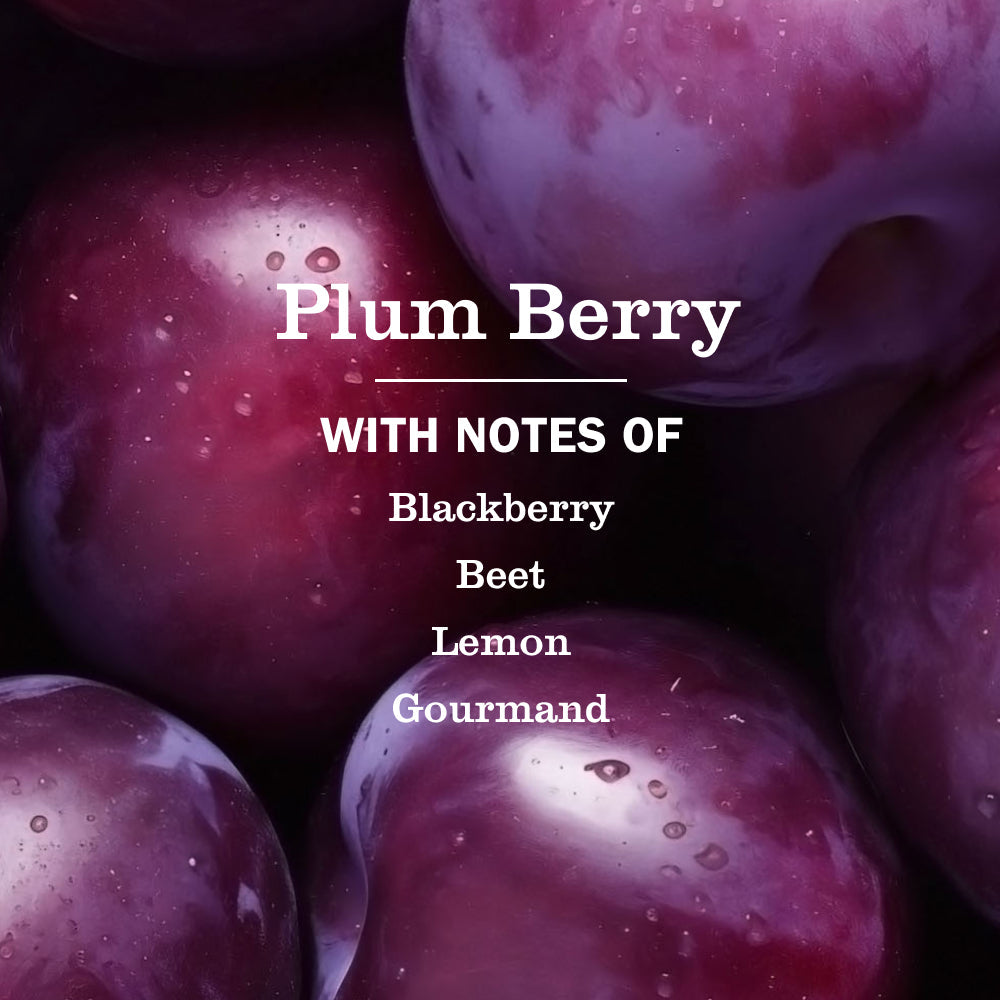 Premium Plum Berry Liquid Hand Soap & Refill Set