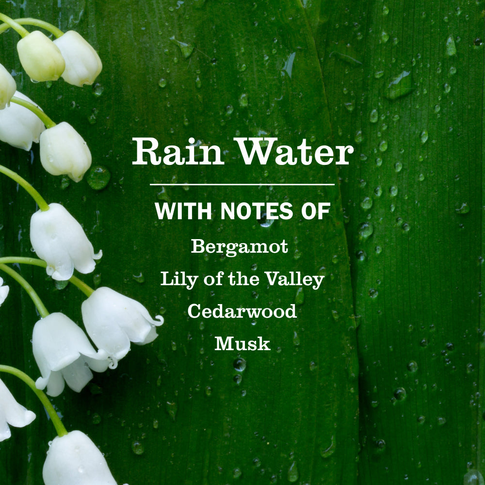 Premium Rain Water Multi-Surface Everyday Cleaner