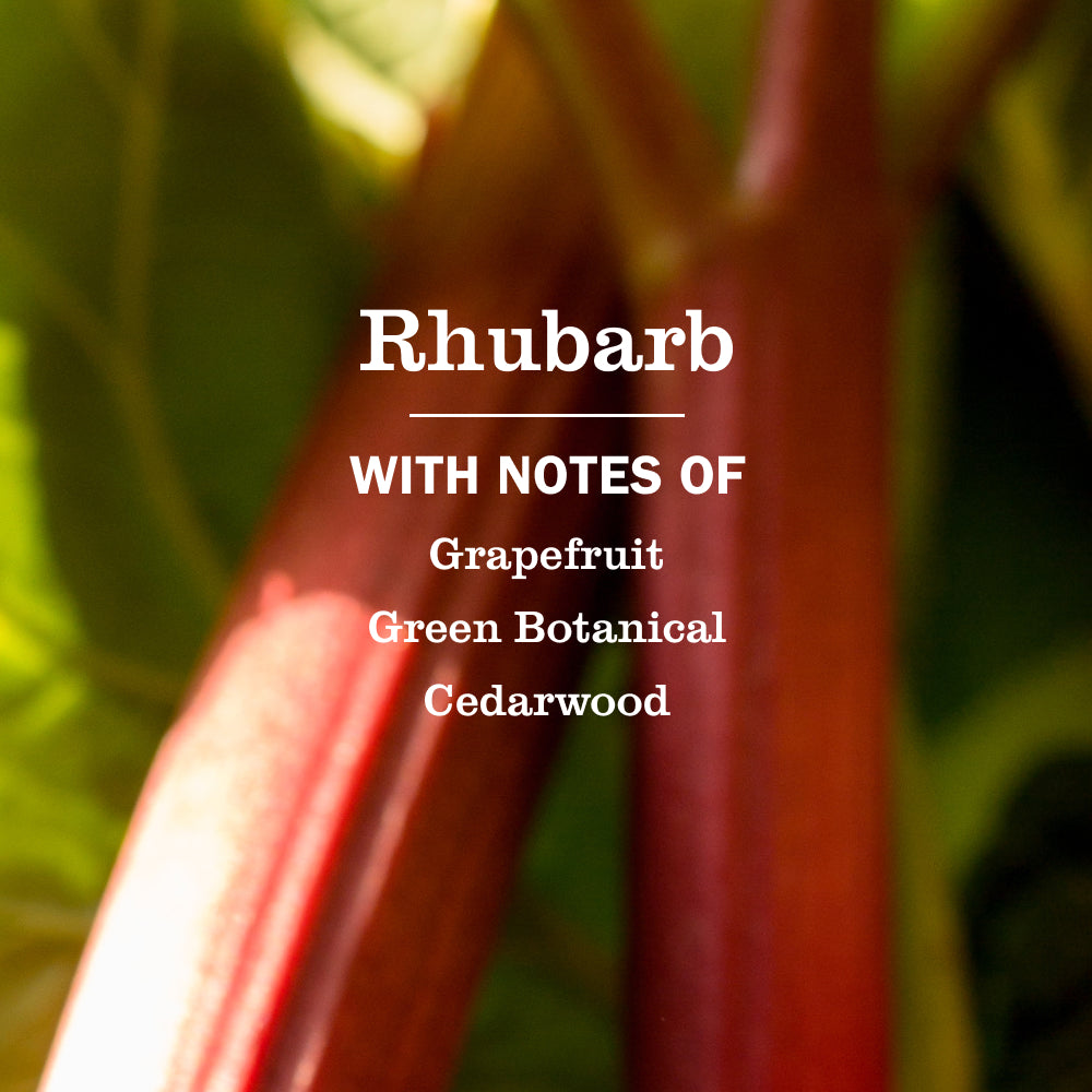 Premium Rhubarb Liquid Hand Soap